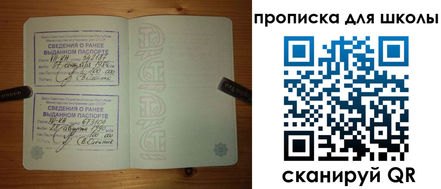 прописка для школы в Благодарном